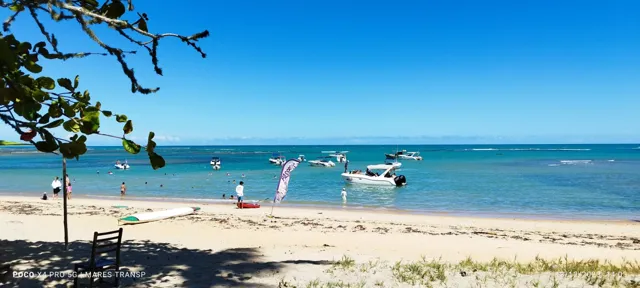 Barcos e águas tranquilas