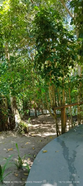 Caminhos pela natureza