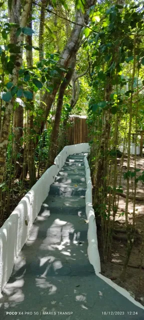 Entre árvores e tranquilidade
