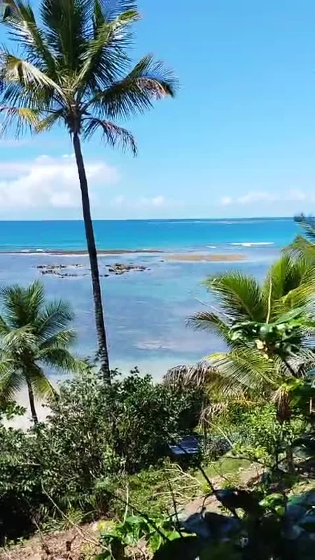 O mar visto de perto