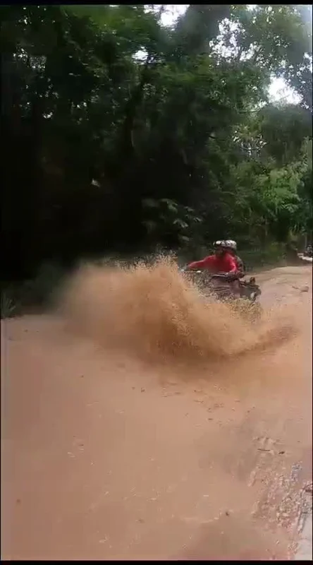 Aventura sobre quatro rodas