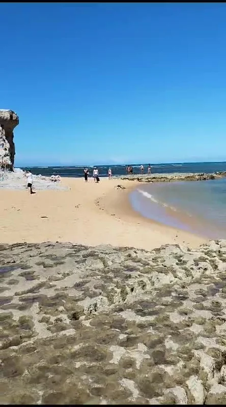 Uma caminhada à beira-mar